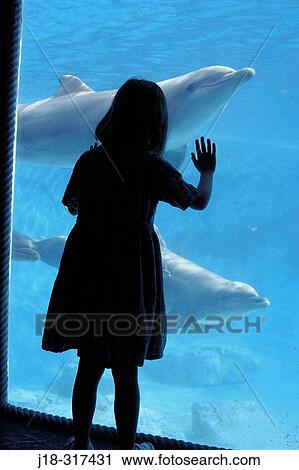 Girl watching dolphins View Large Photo Image Stock Image - Girl watching dolphins. Fotosearch