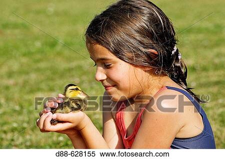 Stock Photography - Girl with baby duck. Fotosearch