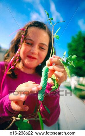 girl with caterpillar View Large Photo Image Stock Image - girl with caterpillar. Fotosearch