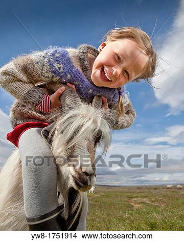 Girl with goat, Goat farm, Iceland View Large Photo Image Picture - Girl with goat, Goat farm, Iceland. Fotosearch