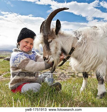 Girl with goat, Goat farm, Iceland View Large Photo Image Stock Image - Girl with goat, Goat farm, Iceland. Fotosearch