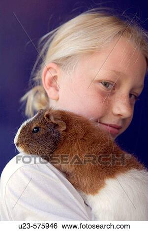 Girl with guinea pig. View Large Photo Image Stock Photograph - Girl with guinea pig.. Fotosearch