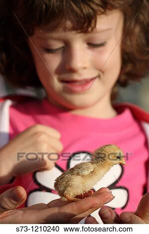 Girl with little chicken in hands View Large Photo Image Stock Image - Girl with little chicken in hands. Fotosearch