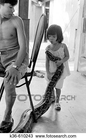 Girl with pet snake. Vietnam View Large Photo Image Stock Image - Girl with pet snake. Vietnam. Fotosearch