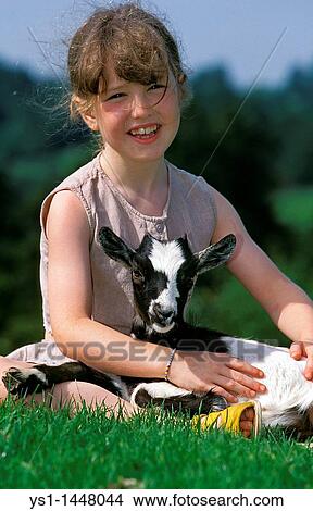 Picture - GIRL WITH PYGMY GOAT capra hircus. Fotosearch