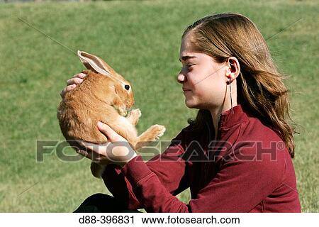 Girl with rabbit View Large Photo Image Stock Image - Girl with rabbit. Fotosearch