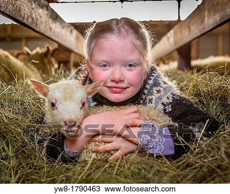 Girl with young lamb, Western Iceland View Large Photo Image Stock Image - Girl with young lamb, Western Iceland. Fotosearch