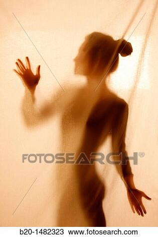 girl's silhouette View Large Photo Image Stock Image - girl's silhouette. Fotosearch