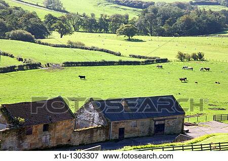 Stock Photo - Glaisdale from above Rock Head Farm North Yorkshire England. Fotosearch