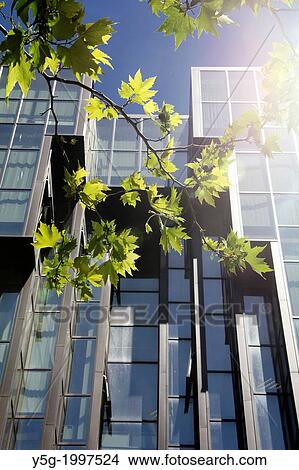 glass office block building with trees in rome italy. View Large Photo Image Picture - glass office block building with trees in rome italy.. Fotosearch