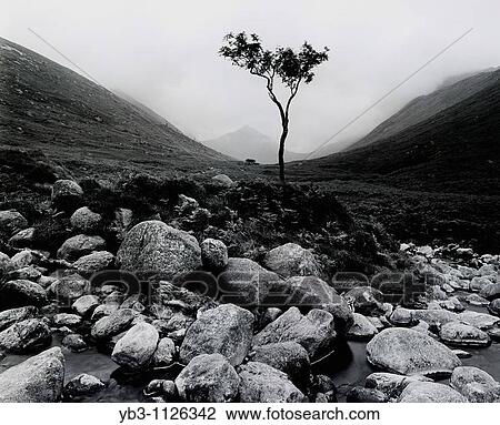 Glen Rosa, Isle of Arran, Scotland View Large Photo Image Stock Image - Glen Rosa, Isle of Arran, Scotland. Fotosearch