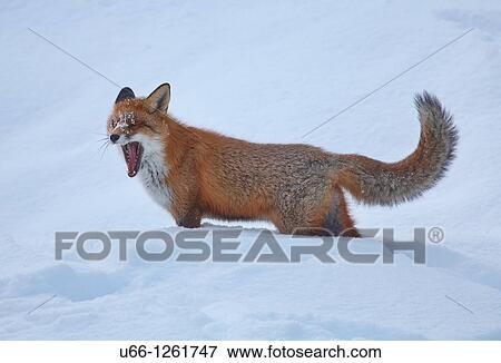 Stock Photo - Gnesta Sodermanland Sweden.. Fotosearch