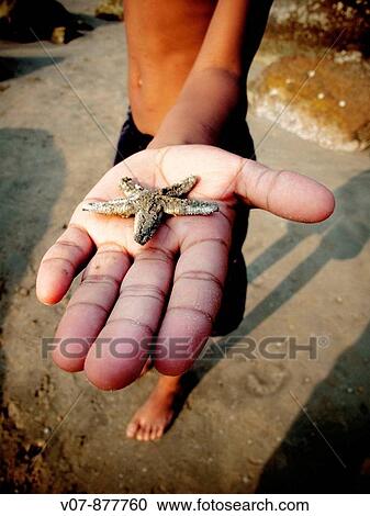 Goa, India View Large Photo Image Stock Image - Goa, India. Fotosearch