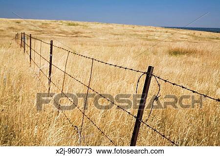 Golden, Colorado - An old barbed wire fence on open plains near Denver's rapidly growing western suburbs The land is preserved from development by Jefferson County's Open Space program View Large Photo Image Stock Image - Golden, Colorado - An old barbed wire fence on open plains near Denver's rapidly growing western suburbs The land is preserved from development by Jefferson County's Open Space program. Fotosearch