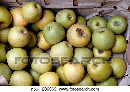 Stock Image - Golden Delicious apples. Fotosearch