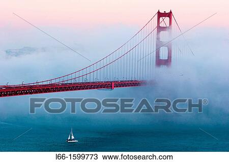 Golden Gate bridge in San Francisco shrouded in fog California View Large Photo Image Stock Image - Golden Gate bridge in San Francisco shrouded in fog California. Fotosearch