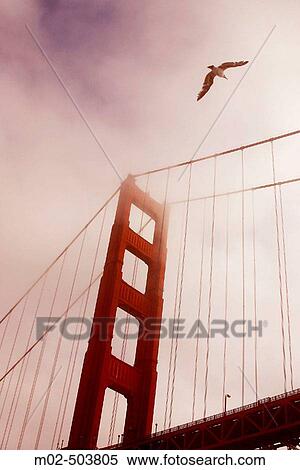 Stock Photography - Golden Gate bridge. San Francisco. California. USA.. Fotosearch