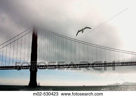 Golden gate bridge. San Francisco. USA. View Large Photo Image Stock Image - Golden gate bridge. San Francisco. USA.. Fotosearch