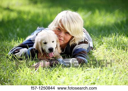 Golden Retriever puppy View Large Photo Image Picture - Golden Retriever puppy. Fotosearch