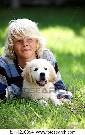 Picture - Golden Retriever puppy. Fotosearch