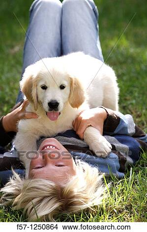 Picture - Golden Retriever puppy. Fotosearch