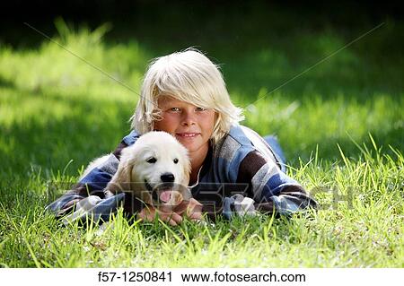 Golden Retriever puppy View Large Photo Image Stock Image - Golden Retriever puppy. Fotosearch