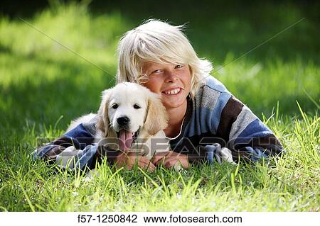 Golden Retriever puppy View Large Photo Image Stock Image - Golden Retriever puppy. Fotosearch