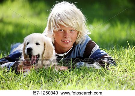 Stock Image - Golden Retriever puppy. Fotosearch
