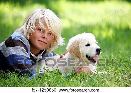 Golden Retriever puppy View Large Photo Image Stock Image - Golden Retriever puppy. Fotosearch