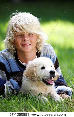 Golden Retriever puppy View Large Photo Image Stock Image - Golden Retriever puppy. Fotosearch