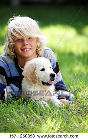 Golden Retriever puppy View Large Photo Image Stock Image - Golden Retriever puppy. Fotosearch