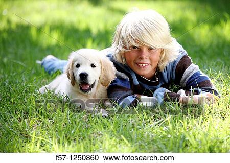 Golden Retriever puppy View Large Photo Image Stock Image - Golden Retriever puppy. Fotosearch