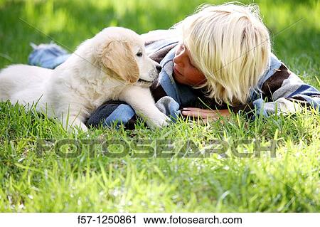 Golden Retriever puppy View Large Photo Image Stock Image - Golden Retriever puppy. Fotosearch