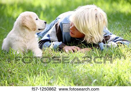 Golden Retriever puppy View Large Photo Image Stock Image - Golden Retriever puppy. Fotosearch