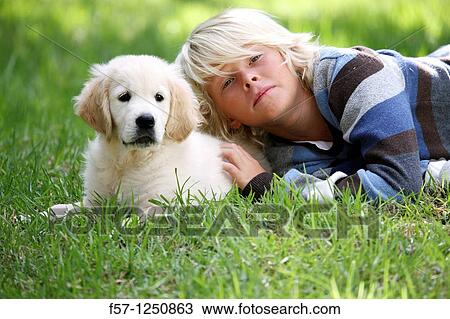 Golden Retriever puppy View Large Photo Image Stock Image - Golden Retriever puppy. Fotosearch