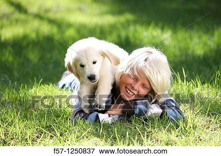 Golden Retriever puppy View Large Photo Image Stock Photo - Golden Retriever puppy. Fotosearch