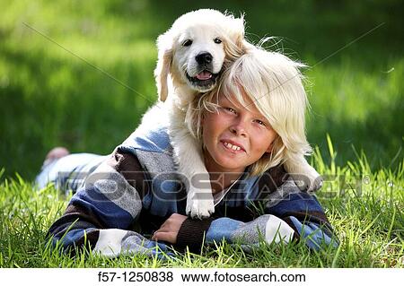 Golden Retriever puppy View Large Photo Image Stock Photo - Golden Retriever puppy. Fotosearch