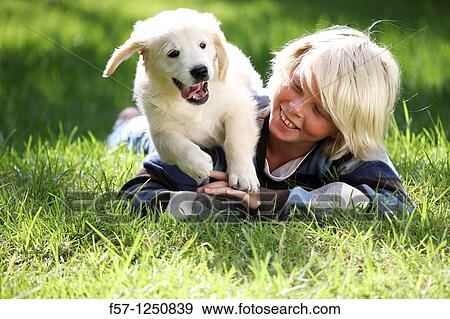 Golden Retriever puppy View Large Photo Image Stock Photo - Golden Retriever puppy. Fotosearch