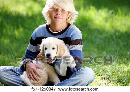 Stock Photo - Golden Retriever puppy. Fotosearch