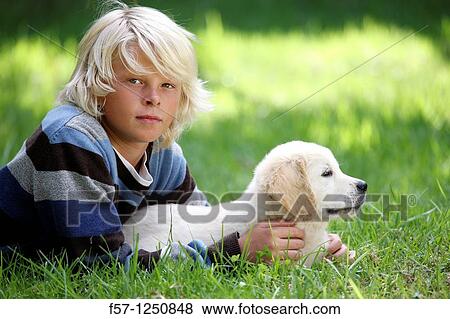 Golden Retriever puppy View Large Photo Image Stock Photo - Golden Retriever puppy. Fotosearch
