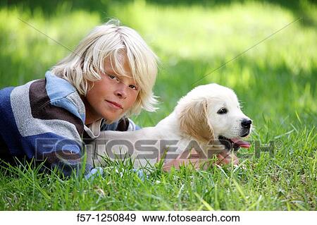Golden Retriever puppy View Large Photo Image Stock Photo - Golden Retriever puppy. Fotosearch