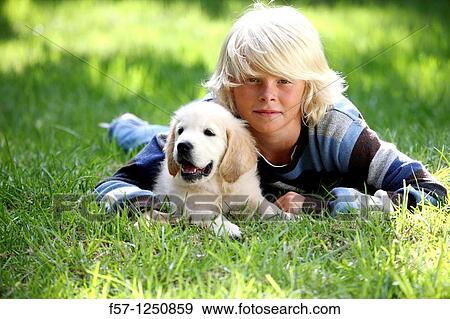 Stock Photo - Golden Retriever puppy. Fotosearch