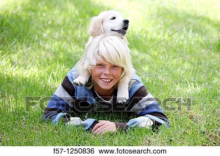 Golden Retriever puppy View Large Photo Image Stock Photograph - Golden Retriever puppy. Fotosearch