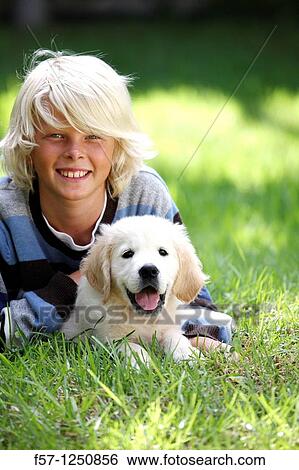 Golden Retriever puppy View Large Photo Image Stock Photograph - Golden Retriever puppy. Fotosearch