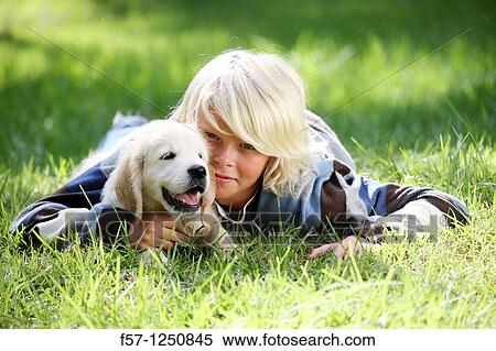 Golden Retriever puppy View Large Photo Image Stock Photography - Golden Retriever puppy. Fotosearch
