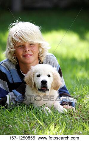 Golden Retriever puppy View Large Photo Image Stock Photography - Golden Retriever puppy. Fotosearch