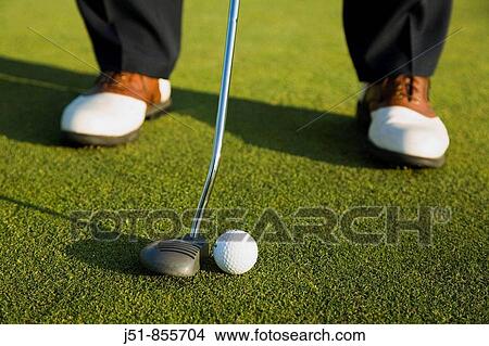 Picture - GOLF Adult middle aged male practice putting on green at public course in Deerfield, Illinois, address ball with putter. Fotosearch