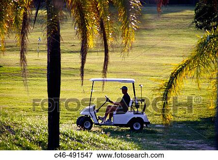 Golf course of Lucayan Country Club, Lucaya. Grand Bahama Island, Bahamas View Large Photo Image Stock Photo - Golf course of Lucayan Country Club, Lucaya. Grand Bahama Island, Bahamas. Fotosearch