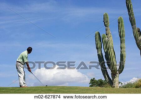 Golf in Los Cabos, Baja California Sur, Mexico View Large Photo Image Picture - Golf in Los Cabos, Baja California Sur, Mexico. Fotosearch