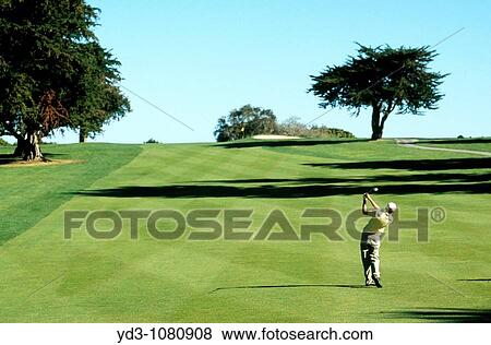 Golfer on fairway hitting ball towards distant flag View Large Photo Image Stock Photo - Golfer on fairway hitting ball towards distant flag. Fotosearch